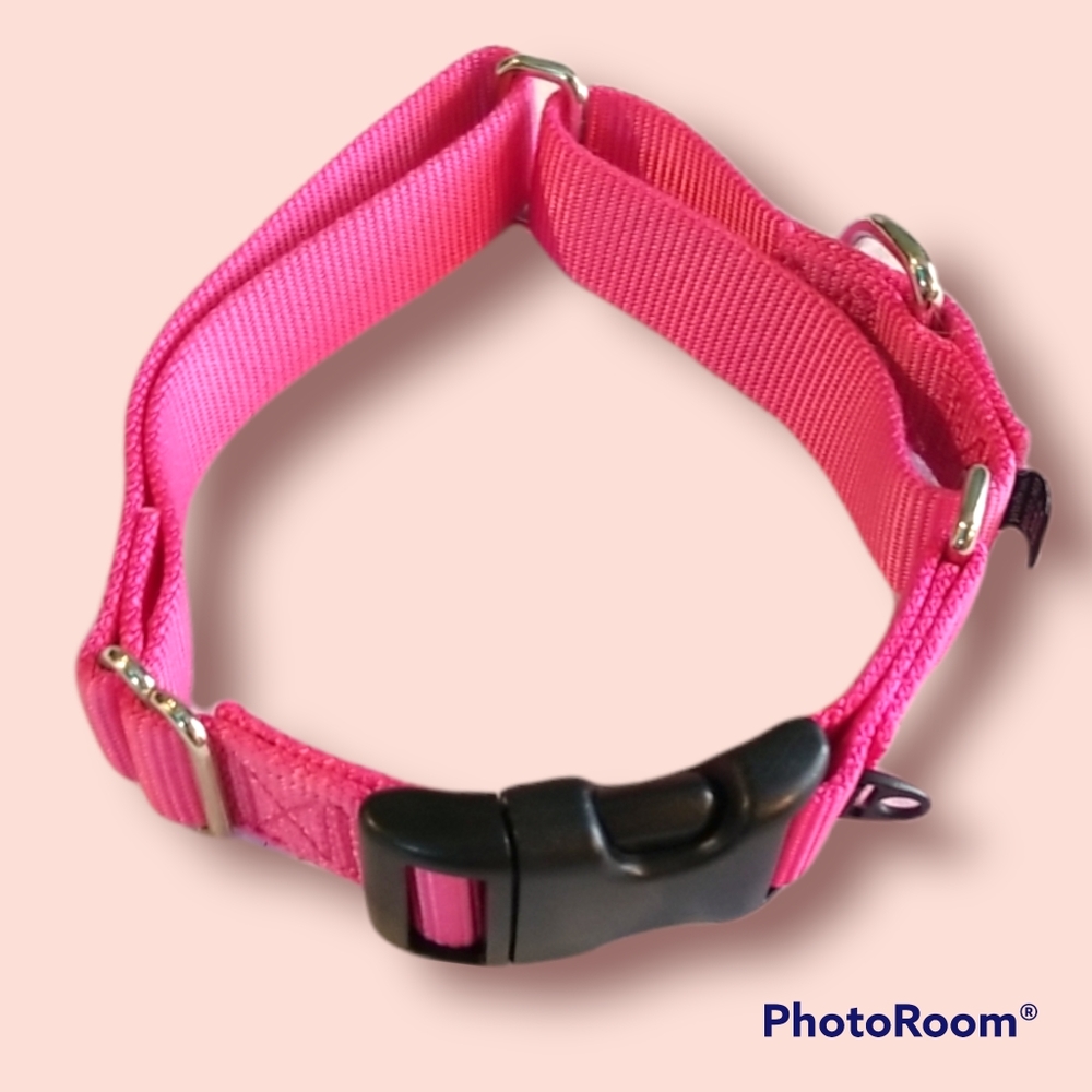 Pet Safe No Slip Collar
